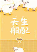 《天生般配》封面