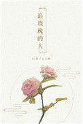 《追玫瑰的人》封面