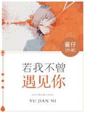 《若我不曾遇见你》封面