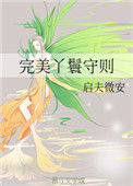 《完美丫鬟守则》封面
