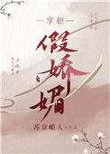 《掌柜假娇媚》封面