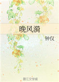 《晚风漪》封面