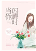 《当你闪耀时》封面