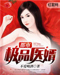 《都市极品医婿》封面