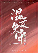 《温柔失守》封面