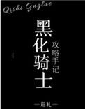 《黑化骑士攻略手记》封面