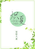 《炽夏》封面