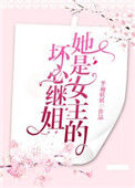《她是女主的坏心继姐》封面