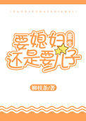 《要媳妇还是要儿子[重生]》封面