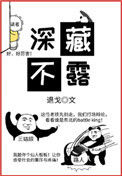 《深藏不露》封面