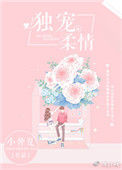 《独宠柔情》封面