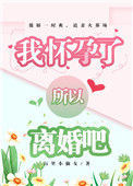 《我怀孕了，所以离婚吧》封面