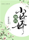 《他的小娇娇》封面