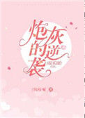 《娱乐圈炮灰的逆袭》封面