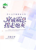 《穿成霸总拐走炮灰》封面