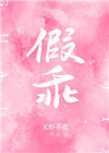 《假乖》封面