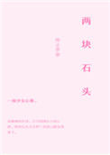 《两块石头》封面