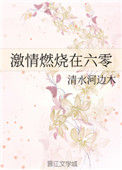 《激情燃烧在六零》封面