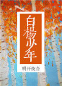 《白杨少年》封面