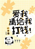 《爱我请给我打钱》封面
