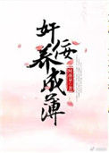 《奸佞养成簿》封面