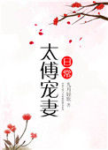 《太傅宠妻日常》封面