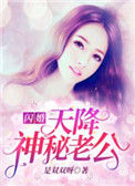 《闪婚，天降神秘老公！》封面