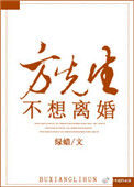 《方先生不想离婚》封面