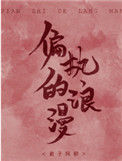 《偏执的浪漫》封面