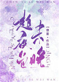 《趁夜色未晚》封面