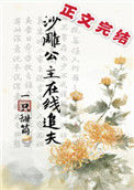 《沙雕公主在线追夫》封面