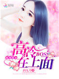 《麻辣甜妻：高冷BOSS在上面》封面