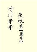 《对门弟弟是校草[重生]》封面