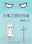 《九零之恶妇当家》封面