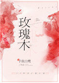 《玫瑰木》封面