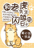 《和老虎先生闪婚的日子》封面