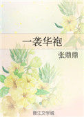 《一袭华袍》封面