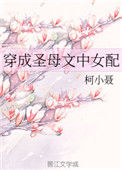 《穿成圣母文中女配》封面