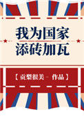 《我为国家添砖加瓦》封面