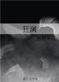 《狂澜》封面