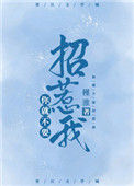 《你就不要招惹我》封面