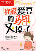 《我家爱豆的马甲又掉了》封面