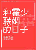 《和霍少联姻的日子》封面