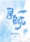 《寻鲸》封面