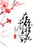 《在你眉梢点花灯》封面