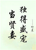 《当贤妻独得盛宠》封面
