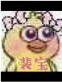 《裴宝》封面