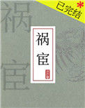 《祸宦》封面