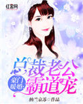《豪门暖婚：总裁老公霸道宠》封面
