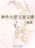 《神外大佬又宠又撩》封面
